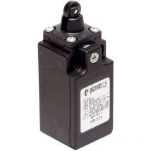 Fr 515-M2 fr 515-M2 Fine corsa 250 v/ac 6 a Stantuffo Momentaneo IP67 1 pz. - Pizzato Elettrica