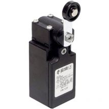 Fr 531-M2 fr 531-M2 Fine corsa 250 v/ac 6 a Leva ruotabile Momentaneo IP67 1 pz. - Pizzato Elettrica