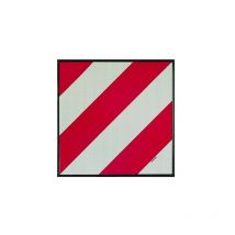 Gobiker - Placa V20 homologada. Señalización carga obligatoria 50x50cm en aluminio