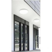 Trade Shop - Plafón De Jardín Led 24w Luz Natural Calida Fria Ip65 Es52 -