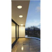 Trade Shop - Plafón De Jardín Led 24w Luz Natural Calida Fria Ip65 Es52 -