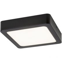 Rabalux - Plafonnier en saillie carré Shaun2 7W 4000K 660lm IP20 noir