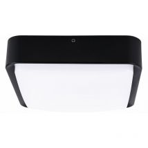 Plafonnier lampe de porte d'entrée Lampe d'extérieur Smart LED applique murale dimmable, contrôle d'application, fonte d'aluminium noir, 14W 1400lm