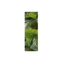 Sticker Réfrigérateur Feuilles Vertes des Tropiques, 59,5 cm x 180 cm, Déco Intérieure Maison