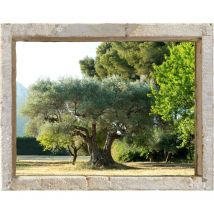 PLAGE Accessori per la casa e Decorazione, Tessuto, Multicolore