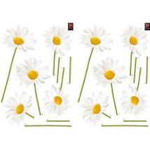 Sticker Autocollant Photo Marguerites Blanches 30x21cm, Déco Murale Intérieure, Lot de 2, Décoration Maison et Bureau