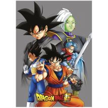 Couverture polaire 100 x 140cm - Dragon Ball