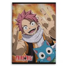 Plaid polaire Fairy Tail - Multicolors