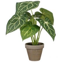 Mica Decorations - Planta Decorativa Caladium ø 21 x 28 cm Artificial
