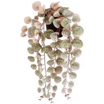 Mica Decorations - Planta artificial colgante ceropegia woodii 'collar de corazones' rosa con maceta.