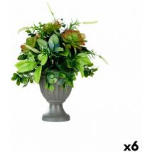 S3627916 Planta Decorativa, Adultos Unisex, Multicolor, Estándar - Ibergarden