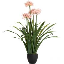 Planta Narciso 70x70x100 Cm