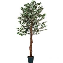 Plantasia - Ficus Benjamini artificiale, tronco in vero legno, albero artificiale, dimensioni a scelta, 160 cm, 714 foglie
