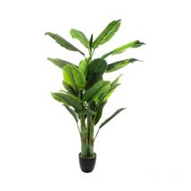 Plante Artificielle 'Bananier' 170cm Vert