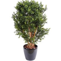Pegane - Plante artificielle haute gamme Spécial extérieur / buis Artificiel Buisson uv - Dim : 80 x 50 cm