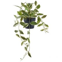 Plante Artificielle Hoya, pe Plastique, Vert, 25,5x25,5x33 cm