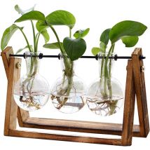 Plante avec support en bois, pot de fleurs en verre, support pivotant en métal, table rétro pour culture hydroponique, maison, jardin, bureau,