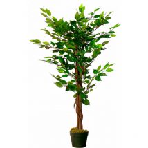 Plante décorative 115cm - Modèle : Benjamini (étroit)
