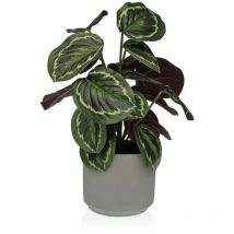 Plante décorative Versa 15 x 40,5 x 15 cm Ciment Plastique