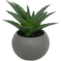 Plante grasse en pot H13 Atmosphera Créateur D'intérieur