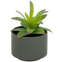Plante grasse en pot H13 - Atmosphera créateur d'intérieur