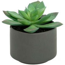 Plante grasse en pot H13 Atmosphera Créateur D'intérieur