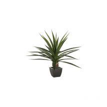 Atmosphera Créateur D'intérieur - Plante Agave Artificielle Géante Atmosphera