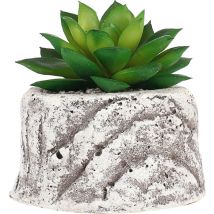 Plantes succulentes artificielles en pot Bonsaï artificiel Décoration de la maison Pots de fleurs Plantes en pot vertes charnues Bonsaï Paysage Pot