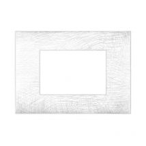 Plaque AVE YOUNG44 blanc couleur 3D 4 places 44PJ04B/3D