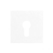 LS925WW, couverture pour interrupteur à clé - Jung