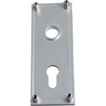 Plaque De Propreté Aluminium Argent Pour Porte De Garage – Longueur 160 Mm – Largeur 60 Mm – Installation Facile Et Ajustement Précis – Wss