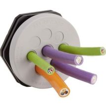 Icotek - Plaque de traversée de câble kel-dpz 50/8 43750 ø max. des bornes 12.5 mm Polyamide, Elastomère gris 1 pc(s)