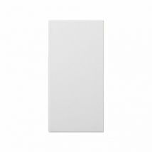 Plaque double aveugle blanche Simon 50000800-030