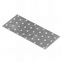 Fixtout - Plaque perforée galvanisée - 200 x 80 x 2,0 mm