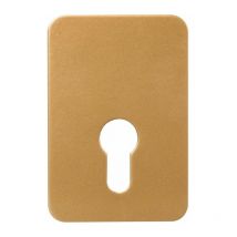 Plaque de renfort pour verrou Exem Cylindre européen Exem