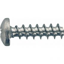 Plasfast Schraube Halbrundkopf 4x10mm PZ2 - Gewindefurchende Schraube für Thermoplaste, Halbrundkopf mit Pozidriv, Blechgewinde, 1000 Stück