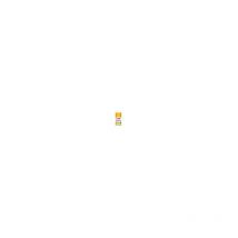 Fast Dry Enamel Aerosol Sunshine Yellow 100ml PKT107S zz