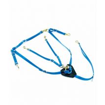 Taglia unica, Blanc: Pectoral et martingale en biothane avec boucles plaquées laiton