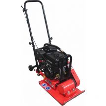Plateau vibrant 5.5hp Moteur Briggs & Stratton