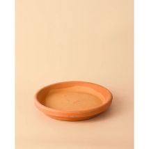 Plato de Maceta Terracota 22cm Interior y Exterior Pur Plant