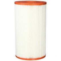 Pleatco - Pin20 Cartouche de Remplacement pour intex Easy Set Piscine b Version, 1 Cartouche Electronic & Filter Corp. - Multicolor