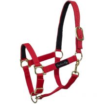 Pony, Vert: Double carrière de nylon avec double renfort de cuir réglable