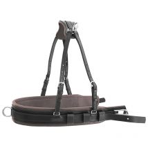 Cob, Noir: Cuirasse en cuir de luxe pour la finition de carrosserie AS00200