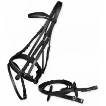 Pour en savoir plus :, Marron: Bridon à lacets argentés