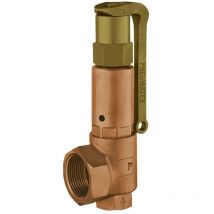 Heimeier - imi Pneumatex Sicherheitsventil DSV32-6,0 dgh, Rotguss