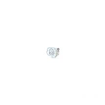 Pochette de joints Briggs&stratton 493263
