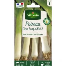 Poireau Gros Long d'Eté 2