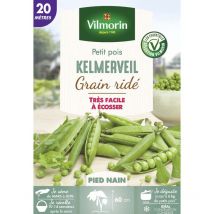 Pois Nain à Grain Ridé Kelmerveil - 20 m