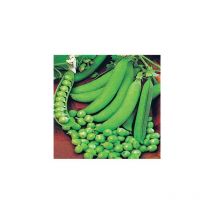 Pois plein le panier - 750 g - Graines