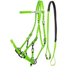 Taglia unica cob/full, Orange: Briglia-cave en biothane avec rênes caoutchoutées